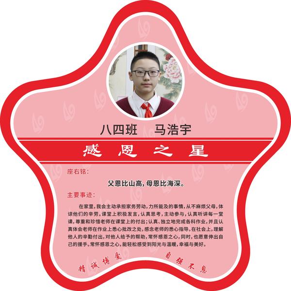 感恩之星 (20)