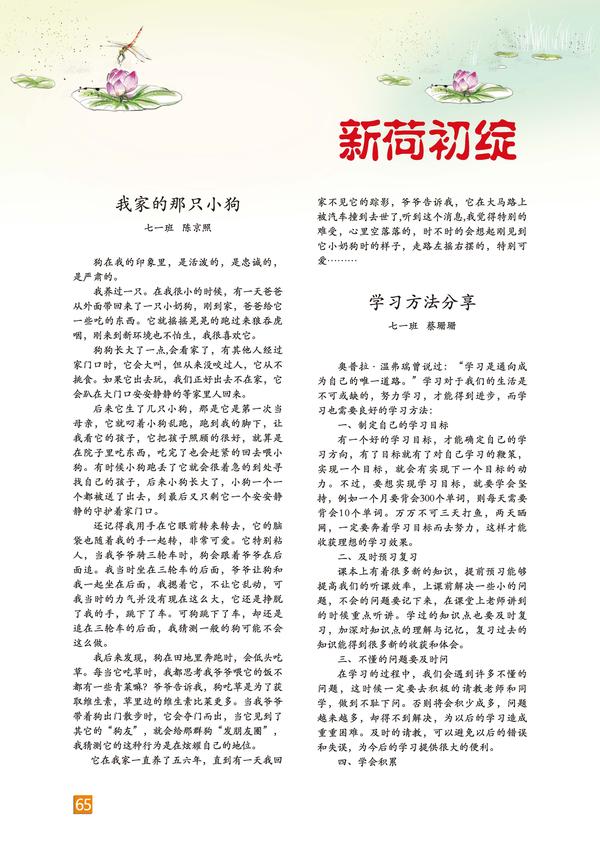 頁碼 (65)